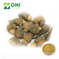 Maca Root Extract Macaenes Powder